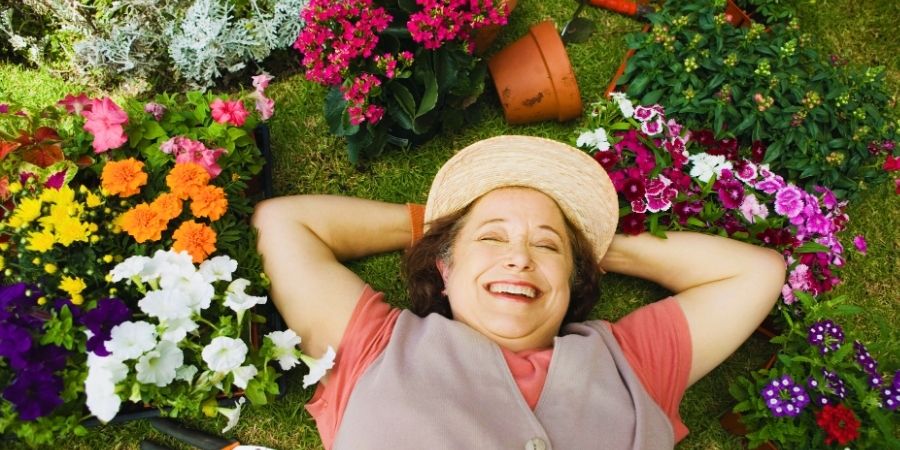 Vermiculite in Blumenzucht und Sukkulenten: Feuchtigkeitsspeichernd und drainierend für gesunde Pflanzen – Vorteile für Gärtner und Hobbyzüchter!