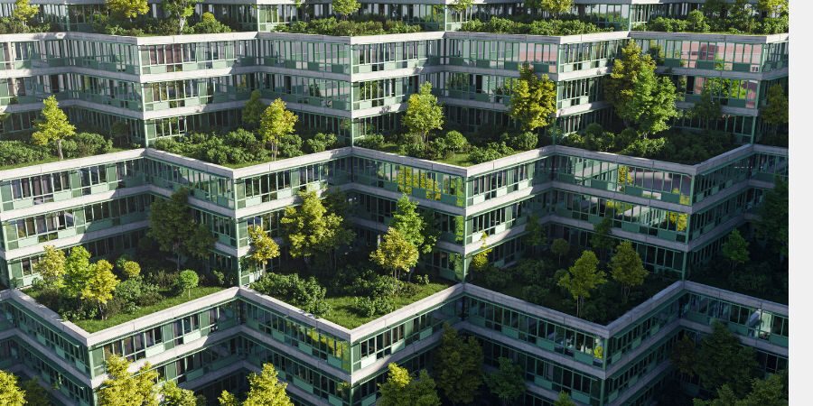 Dachbegrünung mit Original Vermiculite als Untergrund