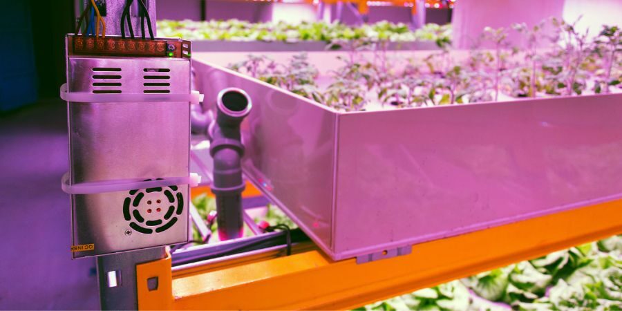 Vermiculite für Aquaponik Anwendungen