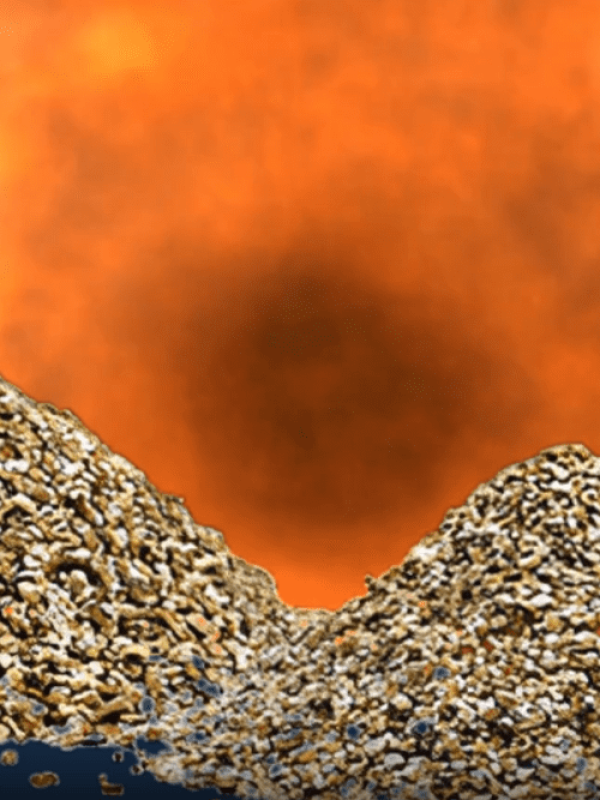 Vorschau-Vermiculite-Feuer.de